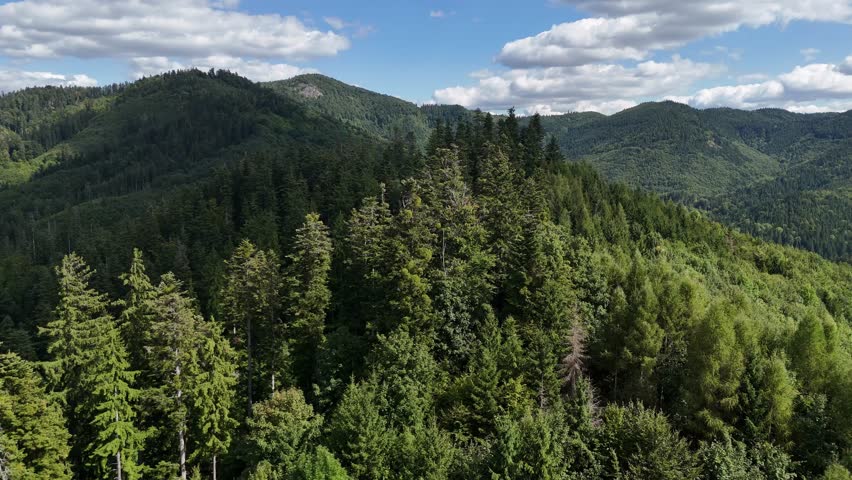 Aerial view of a lush forest landscape with rolling hills and vibrant green trees under a blue sky dotted with fluffy white clouds, Staré Hory, Banská Bystrica Region, Slovakia.