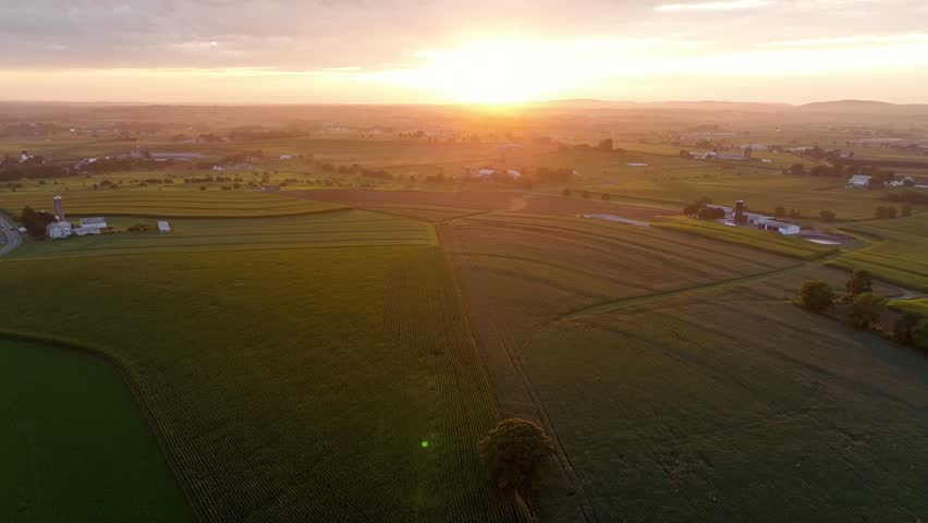 Agricultural farmland with cultivated fields during golden sunset. Aerial descend wide shot. Green trees with farmsteads in USA.
