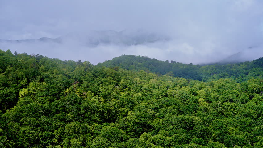 Smoky Mountain peaks lost in drifting fog, filmed by drone.