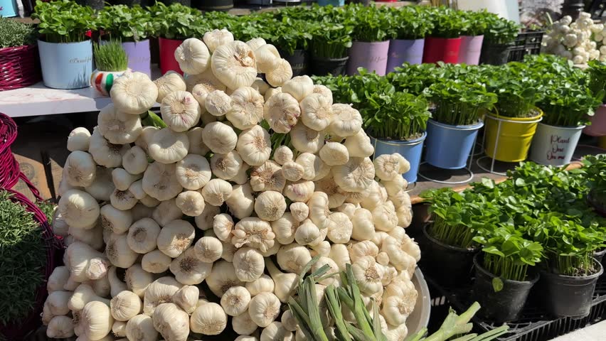 Tehran Tajrish farmer market local people Bazaar Nowruz vibe white garlic fresh green basket Persian tradition organic vegetables fruits shopping market lifestyle healthy delicious grocery celebration