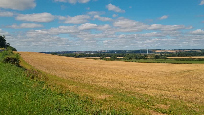Smooth pan over expansive farmlands in the East Midlands, UK, capturing golden fields and rural landscapes under a bright, sunny summer sky