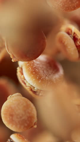Animation of a group of burgers. Many burgers slowly rotate in the background in space. Vertical composition. Defocus. Close-up.