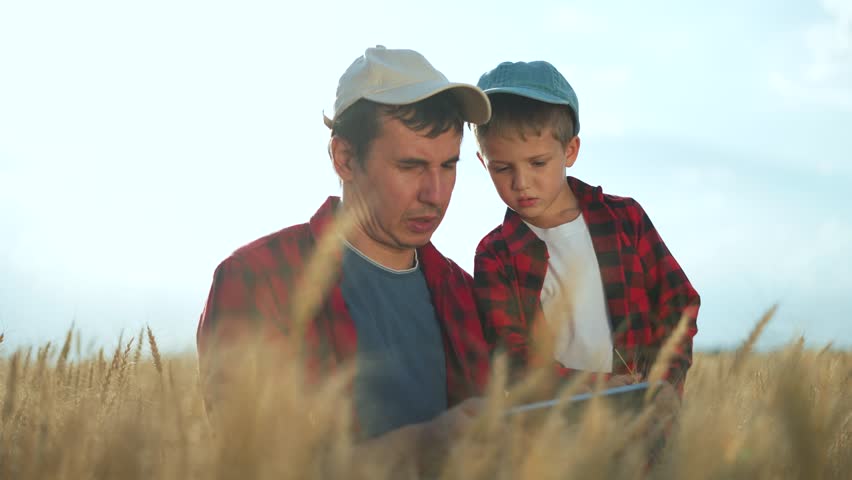 Father and son in wheat field. Family bonding during sunset in wheat field. Farmer father with son inspecting wheat crop. Rural lifestyle and agriculture concept. Family working together at sunset.