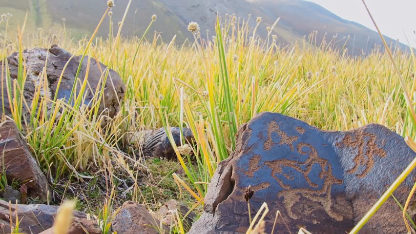 Close up animals Petroglyph carvings. Saymaluu-Tash.Petroglyph site, national park, Jalal-Abad, Kyrgyzstan. Kazarman. Ancient people symbols artwork.UNESCO's Tentative List as Saimaly-Tash Petroglyphs