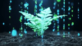 Futuristic biotechnology concept. A digital green plant grows from soil, integrated with glowing binary code for agricultural innovation. - Powered by Shutterstock - Get 15% off with code: PIKWIZARD15