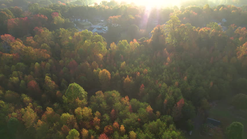 Aerial View Over Colorful Autumn Trees South Carolina, United State Autumn Fall Foliage. Colorful Tree Leaves and Homes in Rays of Morning Sun. Aerial View of Autumn Landscape Beautiful Autumn Forest.