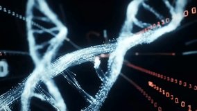 Scientific concept of digital genetics, showing a glowing DNA molecule and binary code for bioinformatics or medical research - Powered by Shutterstock - Get 15% off with code: PIKWIZARD15