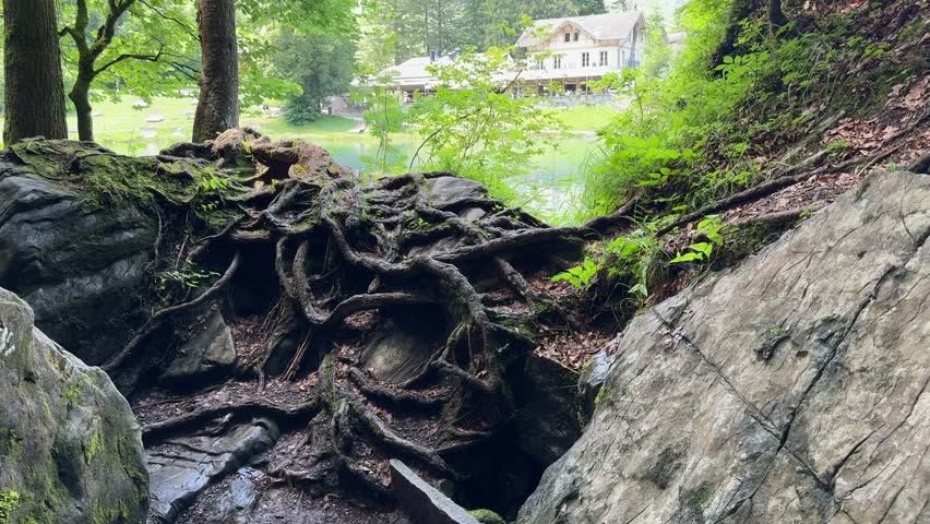 Crystal-clear Blausee lake in Switzerland, where the water is so transparent you can see fish swimming below. Pristine alpine nature, peaceful atmosphere, and stunning natural beauty. Kandergrund 