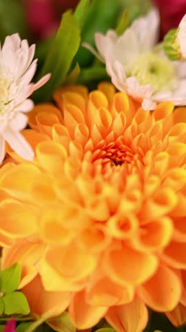 Selective focus Bush of autumnal orange red chrysanthemums and violet dahlia hydrangea. Fall garden beautiful flowers bouquet background. Blooming blossom thanksgiving day arrangement basket