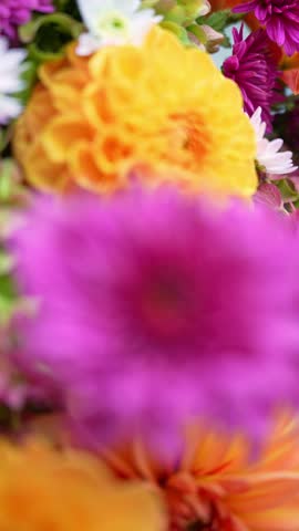 Autumn Fall Bouquet for Thanksgiving holiday. Seasonal Warm colorful blossom flowers arrangement festive decoration. Selective