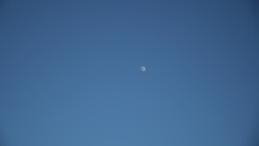 Moon in daytime sky, visible moon during day, half moon in blue sky, bright moon on clear day, lunar view in daylight, 
