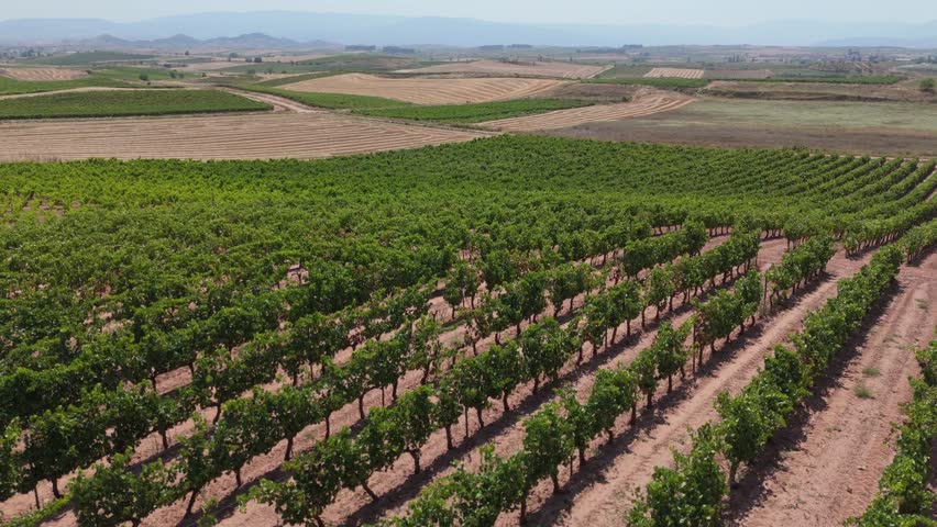 Aerial view of vineyard in Rioja Spain showing grape fields used for wine production with mountains in background.