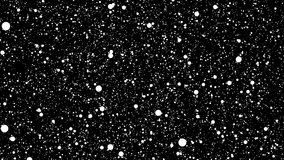 Black background filled with many white dots of varying sizes, resembling stars in a night sky. Ideal for animation or digital design projects - Powered by Shutterstock - Get 15% off with code: PIKWIZARD15