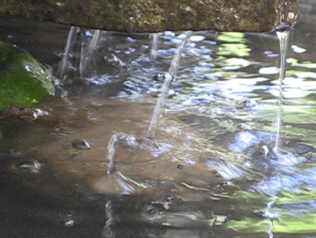 close up of garden pond waterfall