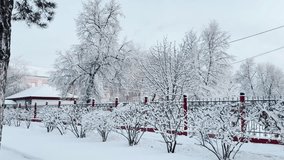 Winter Wonderland Scene, Snow-Covered Trees and Fence, Beautiful Icy Landscape, Frosty Morning View, Serene Winter Atmosphere, Peaceful Snowy Garden, Cold and Crisp Winter Day, Frozen Nature Beauty - Powered by Shutterstock - Get 15% off with code: PIKWIZARD15
