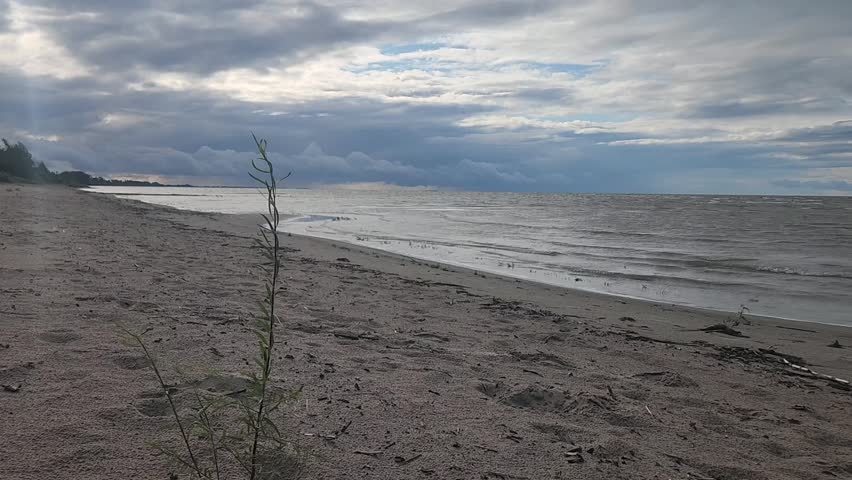 Windy Late Summer Day at Delta Beach, Lake Manitoba