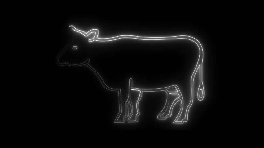 white Neon Cow Icon Animation | Glowing Light Effect on Dark Background, Financial Market Symbol4k Video	