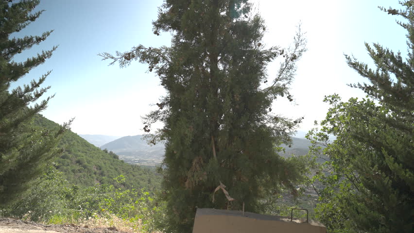 Scenic Mountain Landscape with Green Pine Trees in Nature