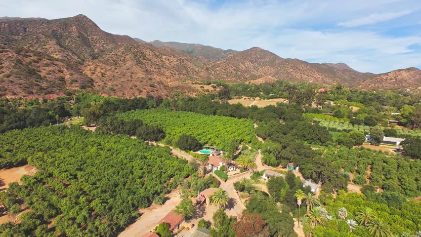 Aerial Drone Flyover of Mountain Valley Citrus Orchards and Rural Estate, Southern California, Daytime