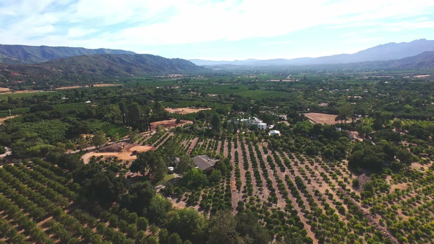 Drone Flyover of Valley Town and Citrus Orchards, California Foothills Daytime Aerial