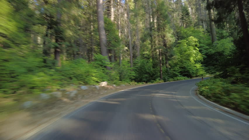 Sequoia National Park Generals Highway Southbound 18 MultiCam Rear View Forest Driving Plate Sierra Nevada Mts California USA