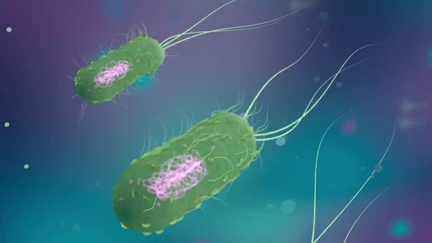 Prokaryotic Cells | 3D Rendering in 1080p HD