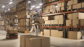 Robotic Worker Walking with a Cardboard Box Inside a Warehouse in a Smart Factory. Humanoid Robot Working in a Logistics Center, Performing Human Tasks with the Help of Artificial Intelligence - Powered by Shutterstock - Get 15% off with code: PIKWIZARD15