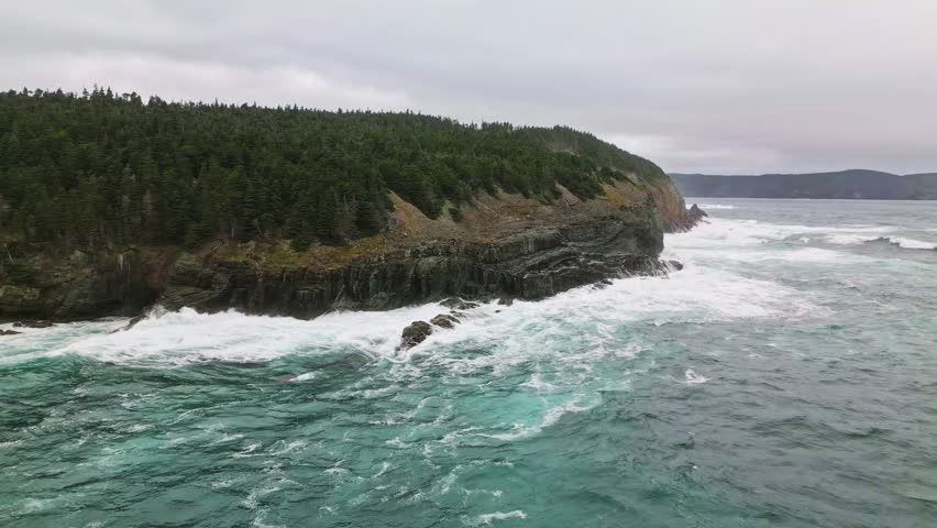 A drone hovers over Middle Cove’s forested headland as stormy waves churn against the rugged shoreline, showcasing dramatic cliffs and turbulent waters under a grey sky.