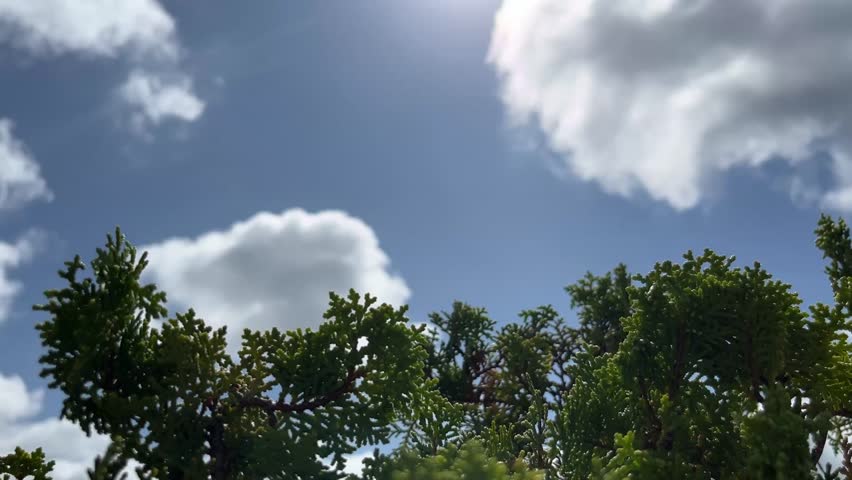 Clear Blue Sky Minimal Clouds, Natural Daylight, Raw Stock Footage