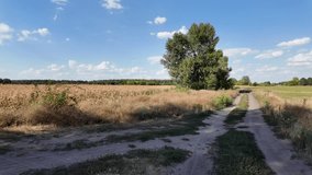 Long narrow dirt track example. beautiful landscape with the road. summer dirt road. road going into the distance. ukrainian landscape.
 - Powered by Shutterstock - Get 15% off with code: PIKWIZARD15