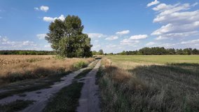 Long narrow dirt track example. beautiful landscape with the road. summer dirt road. road going into the distance. ukrainian landscape.
 - Powered by Shutterstock - Get 15% off with code: PIKWIZARD15
