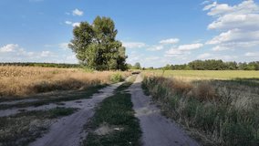 Long narrow dirt track example. beautiful landscape with the road. summer dirt road. road going into the distance. ukrainian landscape.
 - Powered by Shutterstock - Get 15% off with code: PIKWIZARD15