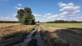 Long narrow dirt track example. beautiful landscape with the road. summer dirt road. road going into the distance. ukrainian landscape.
 - Powered by Shutterstock - Get 15% off with code: PIKWIZARD15