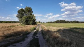 Long narrow dirt track example. beautiful landscape with the road. summer dirt road. road going into the distance. ukrainian landscape.
 - Powered by Shutterstock - Get 15% off with code: PIKWIZARD15