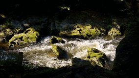 crossing a mountain stream river with large granite stones with a pram on a wooden bridge. view of peat iron water and mosses creating images of bays and fjords - Powered by Shutterstock - Get 15% off with code: PIKWIZARD15
