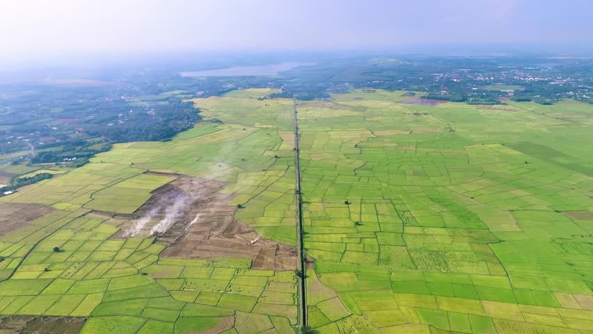 beutiful natural rice field green weather drone video aerial view rice field top view 4K aerial views paddy at LONG PHUOC, VIET NAM