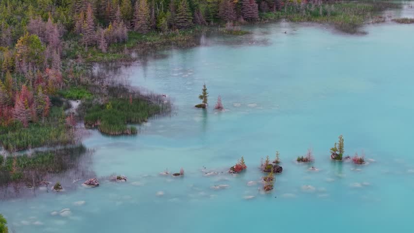 Aerial drone view of a vivid turquoise lake with submerged trees surrounded by colorful autumn forest.