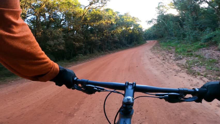 Cyclist riding fast on a dirt road through the forest, first person view