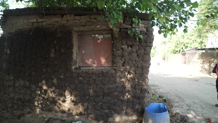 Village life of India. peachfull, Cows where actually get sheltered and taking care of people also the people who used wasts.