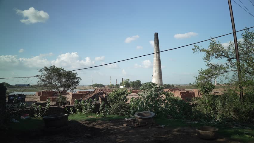 Village life of India. peachfull, Cows where actually get sheltered and taking care of people also the people who used wasts.