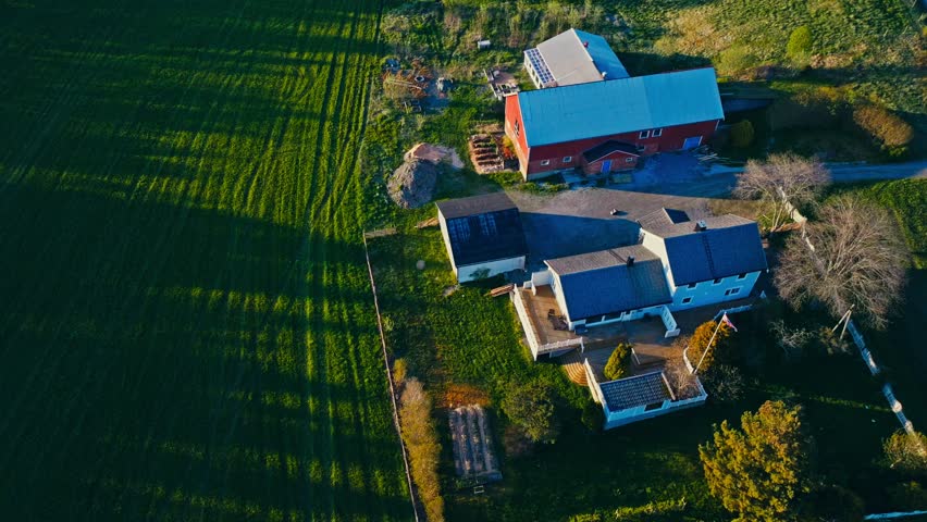Above View Of Farm Houses Near Green Fields On A Sunny Day. Aerial Drone Shot