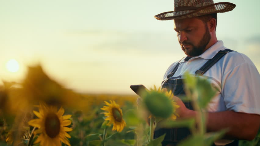 Rural scene in farmland, farmer with smartphone standing in fields in summer. Modern technology for farming and agribusiness, internet addicted farm worker using social media, mobile app for farming