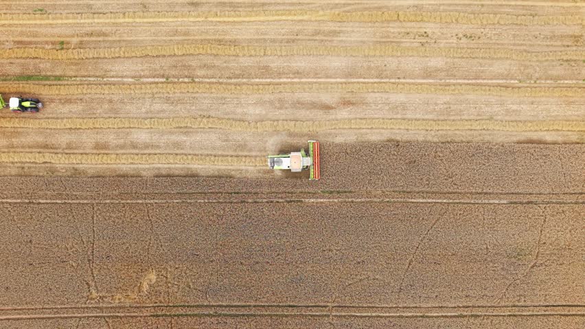 Aerial view of grain harvesting in vast fields, showcasing agriculture