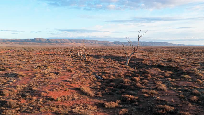 Forward aerial moving over dry outback with dead trees and Flinders Ranges in background, South Australia