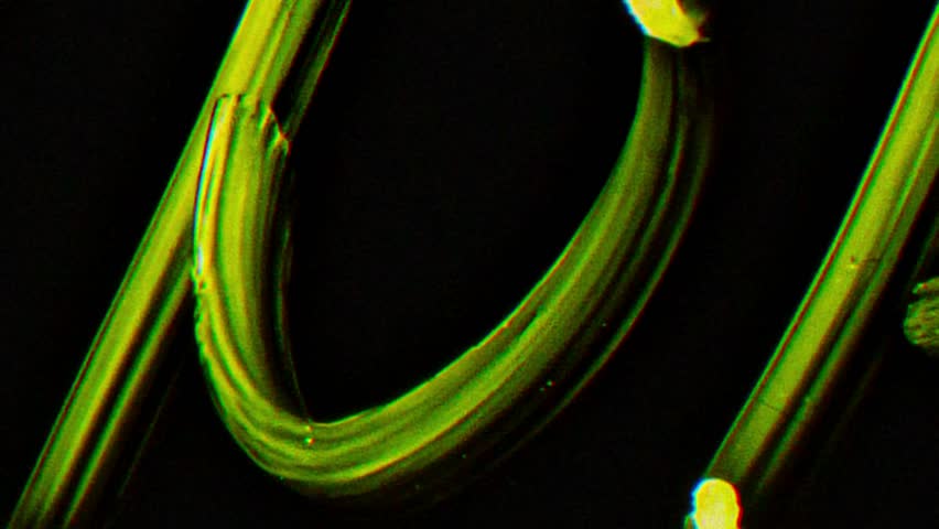 film effect in dynamic fast motion with transition and intro elements from real 35mm negative film, old film overlay effect with noise and scratches, retro analog and cinematic look