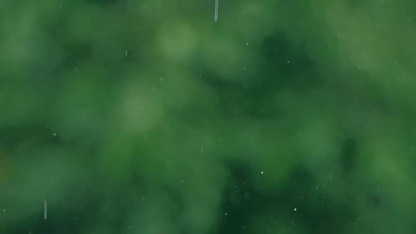 Soothing rain drops in slow motion fall gently against a blurred backdrop