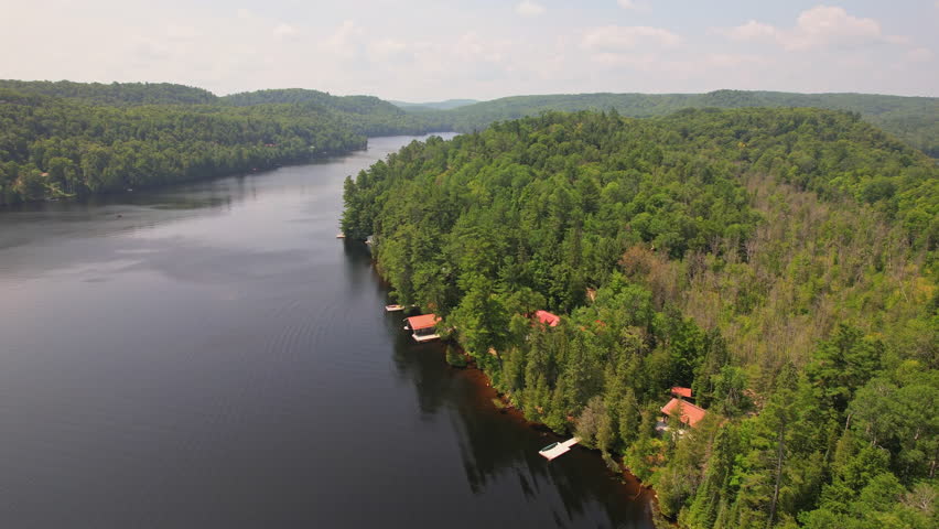 Aerial view of Baptist lake of Northern Ontario. Bird
