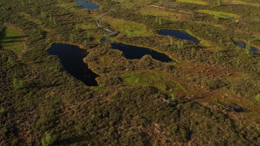 Aerial view of a lush peat bog with winding wooden boardwalks, small ponds, grassy patches, and scattered trees across the wetland landscape.