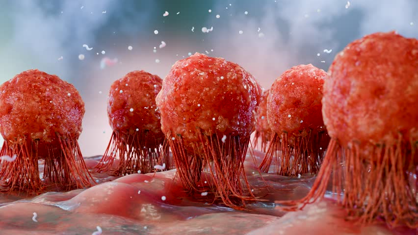 Capsule Pill Fighting and Destroying Cancer Cells or Viruses Inside Human Body, Concept of Medicine, Healthcare, Pharmaceutical Treatment, Immunotherapy and Disease Cure, viral flagella, 3d render