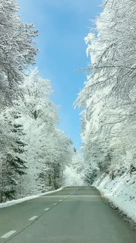 POV: Driving along the empty asphalt road crossing an idyllic snowy forest. First person shot of a scenic drive across the snow covered woods on a sunny winter day. Road trip across wintry landscape